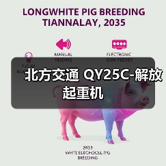 北方交通 QY25C-解放 起重机(图1) 北方交通 QY25C-解放 起重机(图1)