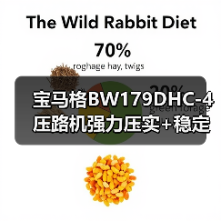 宝马格BW179DHC-4压路机强力压实+稳定性强，为何成为工程首选？（图3）