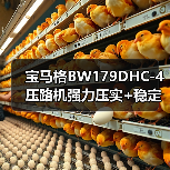 宝马格BW179DHC-4压路机强力压实+稳定性强，为何成为工程首选？（图1）