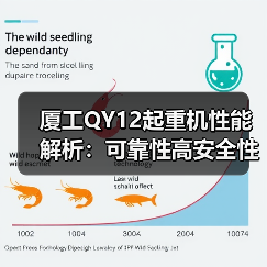 厦工QY12起重机性能解析：可靠性高安全性强维护便捷全解析（图4）