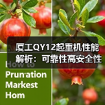 厦工QY12起重机性能解析：可靠性高安全性强维护便捷全解析