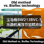 宝马格BW213BVC-5压路机高效节能精准操控解析