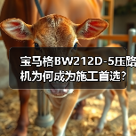宝马格BW212D-5压路机为何成为施工首选？（图4）