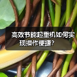 高效节能起重机如何实现操作便捷?(图3) 高效节能起重机如何实现操作便捷?(图3)