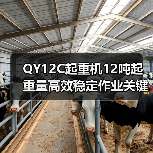 QY12C起重机12吨起重量高效稳定作业关键解析