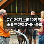 QY12C起重机12吨起重量高效稳定作业关键解析(图3) QY12C起重机12吨起重量高效稳定作业关键解析(图3)