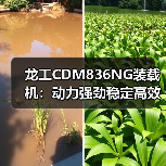 龙工CDM836NG装载机:动力强劲稳定高效,为何深受工程青睐?(图4) 龙工CDM836NG装载机:动力强劲稳定高效,为何深受工程青睐?(图4)