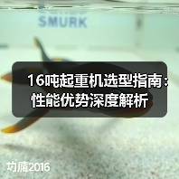 16吨起重机选型指南:性能优势深度解析(图2) 16吨起重机选型指南:性能优势深度解析(图2)
