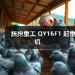 抚挖重工 QY16F1 起重机(图2) 抚挖重工 QY16F1 起重机(图2)