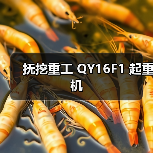 抚挖重工 QY16F1 起重机(图3) 抚挖重工 QY16F1 起重机(图3)
