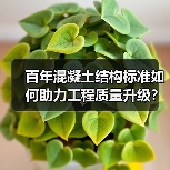 百年混凝土结构标准如何助力工程质量升级？（图1）