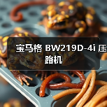 宝马格 BW219D-4i 压路机