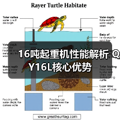 16吨起重机性能解析 QY16L核心优势(图4) 16吨起重机性能解析 QY16L核心优势(图4)