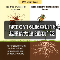 柳工QY16L起重机16吨起重能力强 适用广泛 操作灵活安全(图2) 柳工QY16L起重机16吨起重能力强 适用广泛 操作灵活安全(图2)