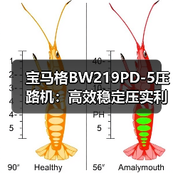 宝马格BW219PD-5压路机：高效稳定压实利器，多模式操作提升作业效率