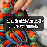 出口型装载机怎么选?915型号全面解析(图2) 出口型装载机怎么选?915型号全面解析(图2)