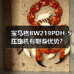 宝马格BW219PDH-5压路机有哪些优势？