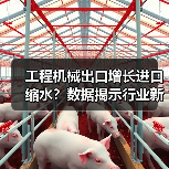 工程机械出口增长进口缩水?数据揭示行业新趋势(图1) 工程机械出口增长进口缩水?数据揭示行业新趋势(图1)