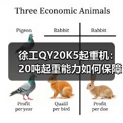 徐工QY20K5起重机:20吨起重能力如何保障施工安全?(图1) 徐工QY20K5起重机:20吨起重能力如何保障施工安全?(图1)