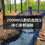2000W压路机高效压实核心参数揭秘(图4) 2000W压路机高效压实核心参数揭秘(图4)