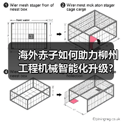 海外赤子如何助力柳州工程机械智能化升级?(图4) 海外赤子如何助力柳州工程机械智能化升级?(图4)
