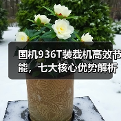 国机936T装载机高效节能,七大核心优势解析(图3) 国机936T装载机高效节能,七大核心优势解析(图3)