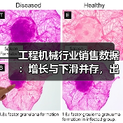 工程机械行业销售数据:增长与下滑并存,出口表现亮眼?(图4) 工程机械行业销售数据:增长与下滑并存,出口表现亮眼?(图4)