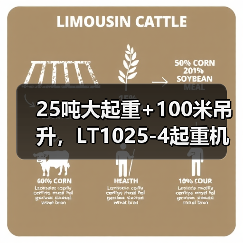 25吨大起重+100米吊升,LT1025-4起重机高效灵活应对多场景作业(图3) 25吨大起重+100米吊升,LT1025-4起重机高效灵活应对多场景作业(图3)