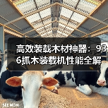 高效装载木材神器:936抓木装载机性能全解析(图1) 高效装载木材神器:936抓木装载机性能全解析(图1)