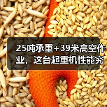 25吨承重+39米高空作业,这台起重机性能究竟如何?(图3) 25吨承重+39米高空作业,这台起重机性能究竟如何?(图3)