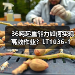 36吨起重能力如何实现高效作业?LT1036-1起重机性能解析(图3) 36吨起重能力如何实现高效作业?LT1036-1起重机性能解析(图3)