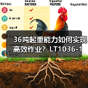 36吨起重能力如何实现高效作业?LT1036-1起重机性能解析(图4) 36吨起重能力如何实现高效作业?LT1036-1起重机性能解析(图4)