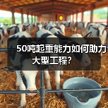 50吨起重能力如何助力大型工程?(图1) 50吨起重能力如何助力大型工程?(图1)