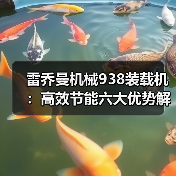 雷乔曼机械938装载机:高效节能六大优势解析(图2) 雷乔曼机械938装载机:高效节能六大优势解析(图2)