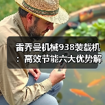 雷乔曼机械938装载机:高效节能六大优势解析(图4) 雷乔曼机械938装载机:高效节能六大优势解析(图4)