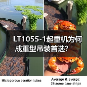 LT1055-1起重机为何成重型吊装首选？