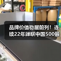 品牌价值稳居前列！连续22年蝉联中国500最具价值品牌榜（图3）