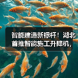 智能建造新标杆！湖北首推智能施工升降机，引领行业变革（图1）