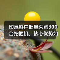 印尼客户批量采购300台挖掘机，核心优势如何打动市场？（图1）