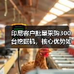 印尼客户批量采购300台挖掘机，核心优势如何打动市场？（图2）