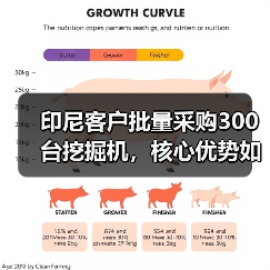 印尼客户批量采购300台挖掘机，核心优势如何打动市场？（图4）