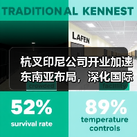 杭叉印尼公司开业加速东南亚布局，深化国际化战略（图4）
