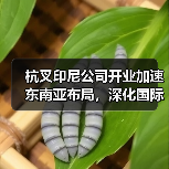 杭叉印尼公司开业加速东南亚布局，深化国际化战略（图3）