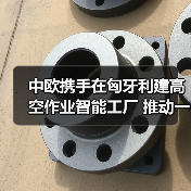 中欧携手在匈牙利建高空作业智能工厂 推动一带一路产业协同（图3）