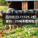 四川长江LT1125-2起重机：25吨承载强稳灵活省电（图2）