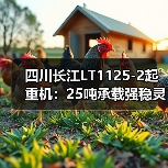 四川长江LT1125-2起重机：25吨承载强稳灵活省电（图3）