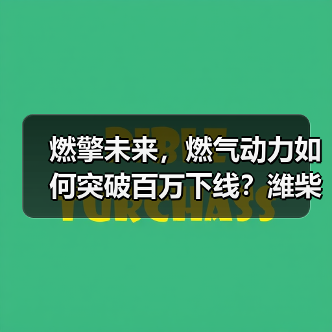 燃擎未来，燃气动力如何突破百万下线？潍柴WP16NG4.0引领行业变革！（图2）