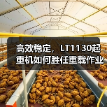 高效稳定，LT1130起重机如何胜任重载作业？（图4）