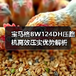 宝马格BW124DH压路机高效压实优势解析（图1）