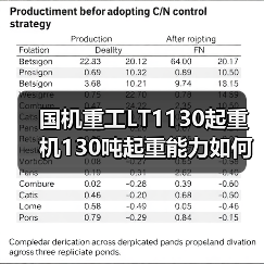 国机重工LT1130起重机130吨起重能力如何？高效稳定施工首选（图2）